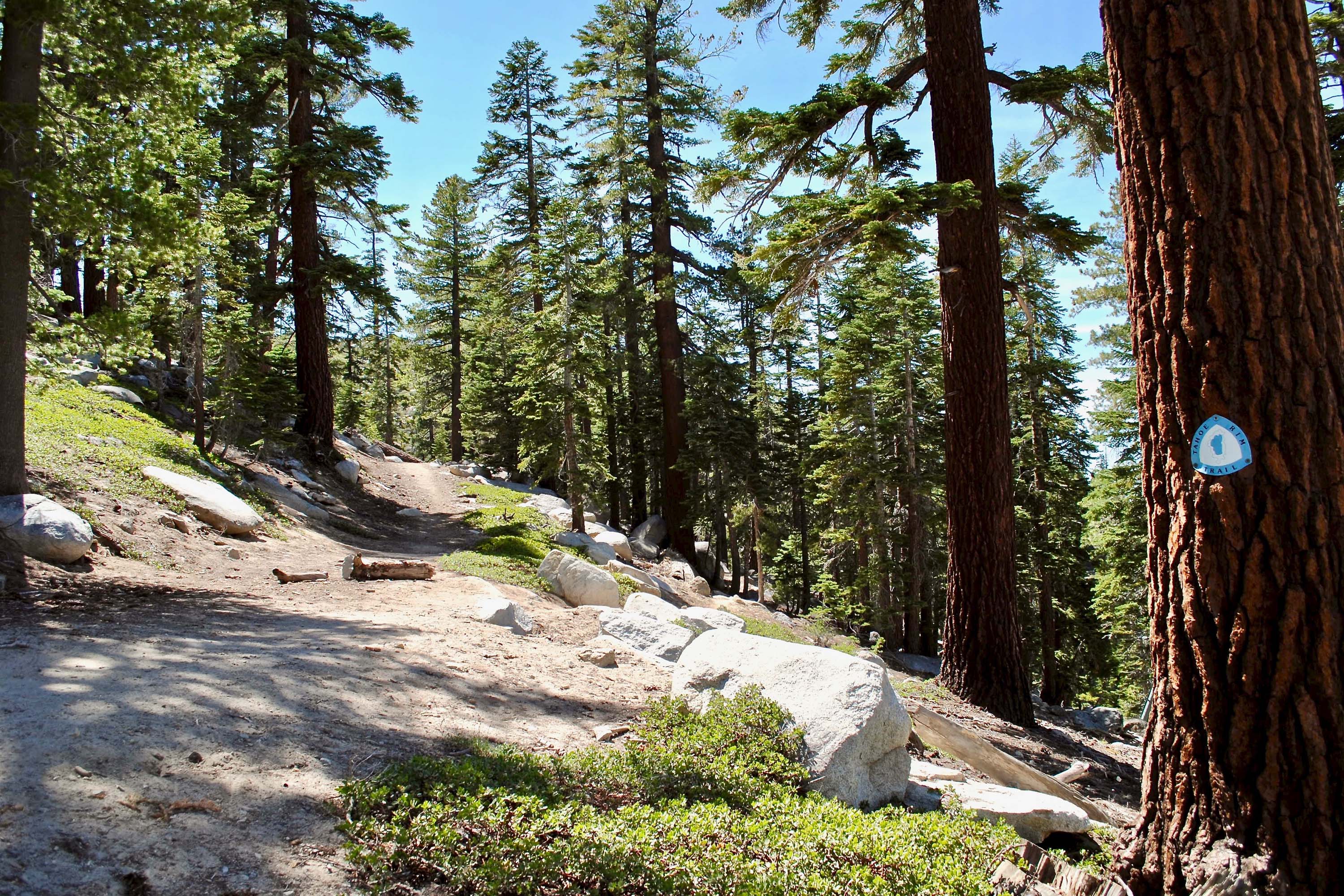 Tahoe Rim Trail