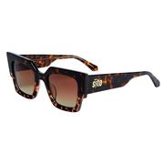 SITO Sensory Division Sunglasses