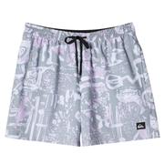 Quiksilver Men's Surfsilk Mix Volleys Shorts