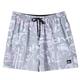 Quiksilver Men's Surfsilk Mix Volleys Shorts IRONGATE