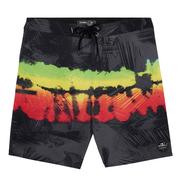 O'Neill Men's Hyperfreak Heat Hawaii Boardshorts