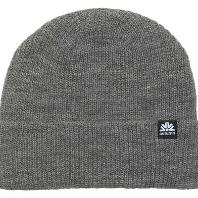 Autumn Simple Beanie