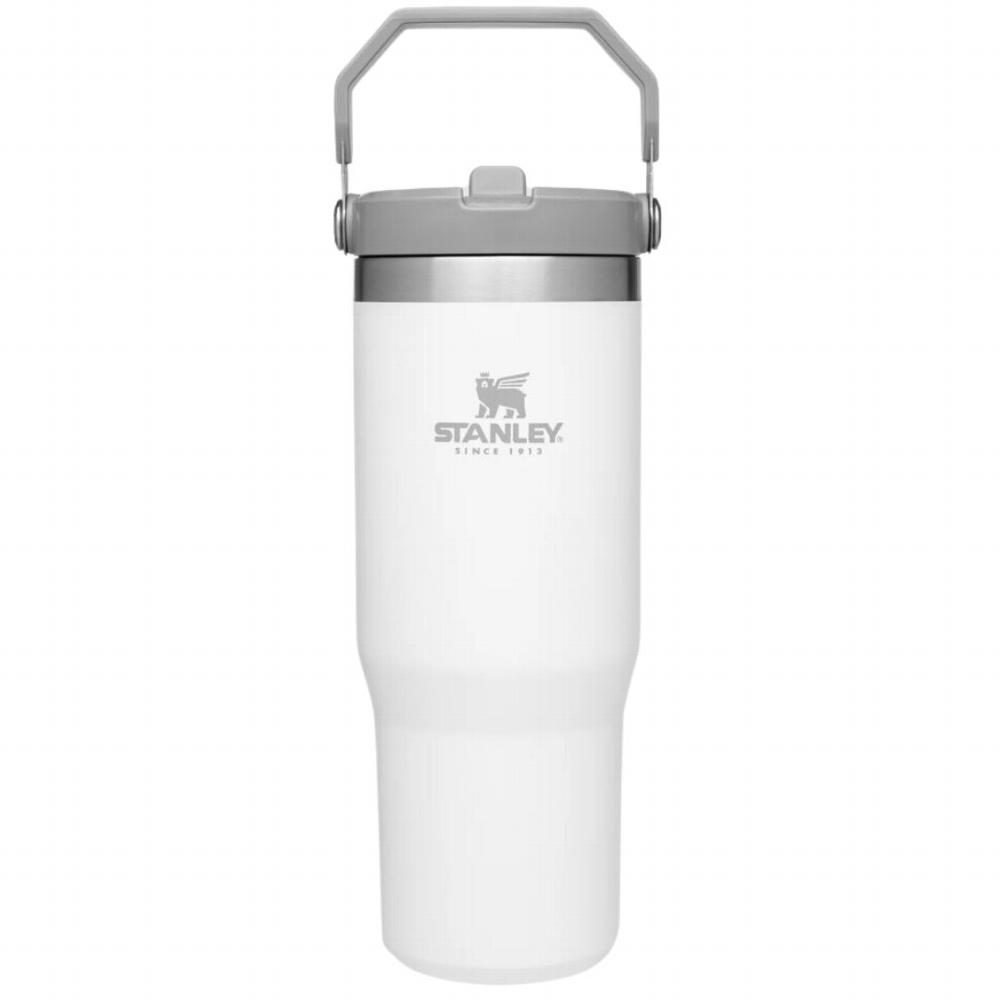 Stanley The Iceflow Flip Straw Tumbler POLAR