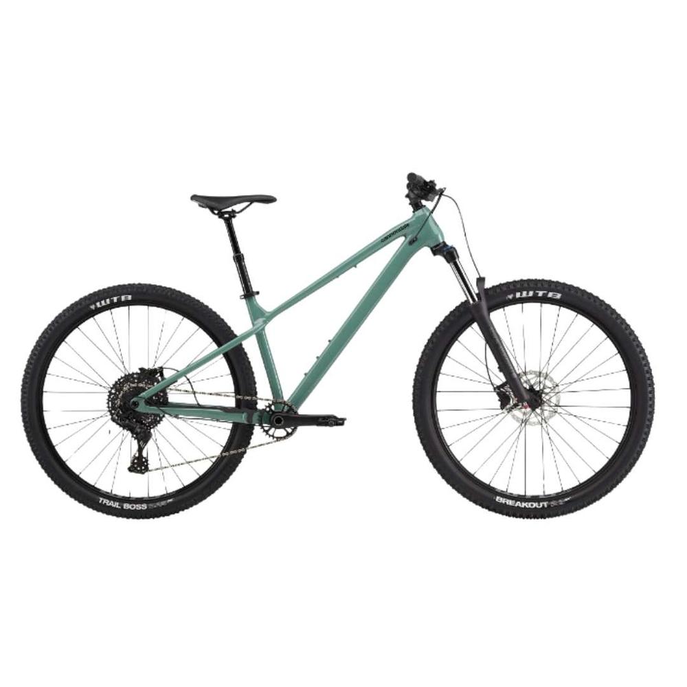 Cannondale 2024 Habit HT 3 Mountain Bike - Jade JADE