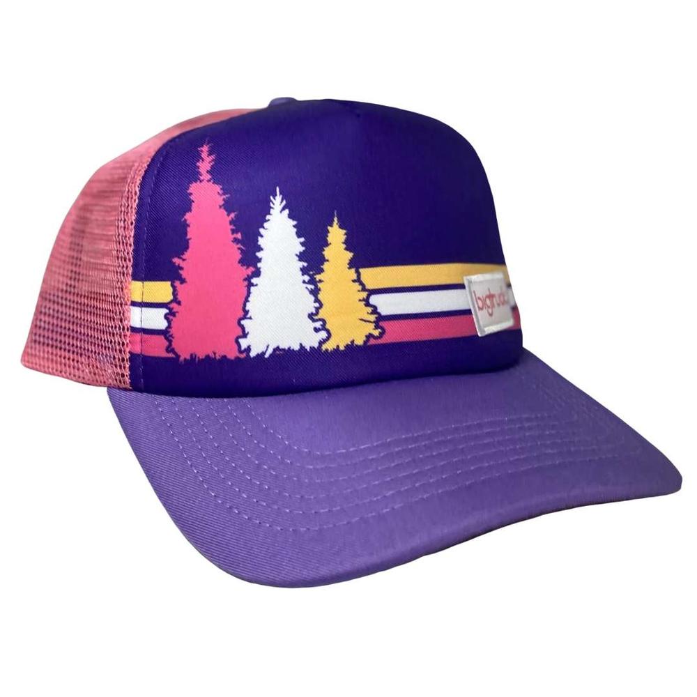  Bigtruck Original Kids Trucker Hat - Purple Pines