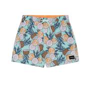 Hurley Phantom Poolside Combo 16 Swim Trunks