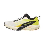 Salomon Shoe Sense Ride 5 Running Shoe