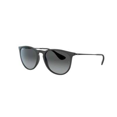 Ray Ban 25 Erika Sunglasses