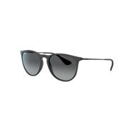 Ray Ban 25 Erika Sunglasses