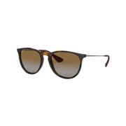 Ray Ban 25 Erika Sunglasses