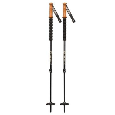 Armada Carbon Adjustable Poles 2025