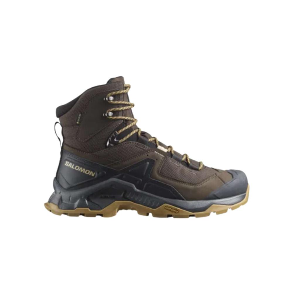  Salomon Men's Quest Element Gore- Tex Boots