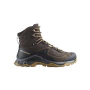 Salomon Men's Quest Element Gore-Tex Boots