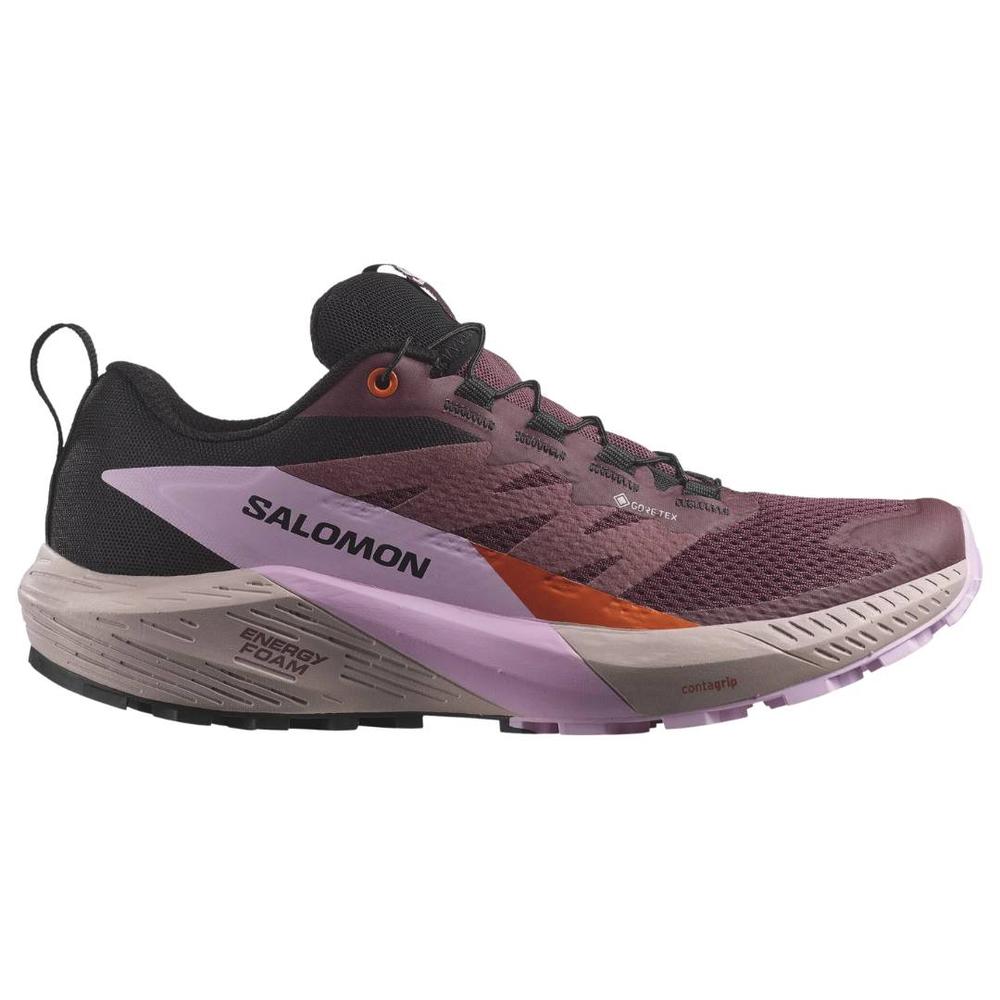  Salomon Women's Sense Ride 5 Gtx Shoes