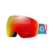 Oakley Flight Deck L Snow Goggles