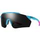 Smith Ruckus Sunglasses FBX991C